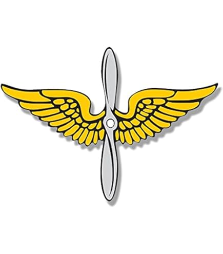 Amazon.com: U.S. Army Aviation with Aviator Wings Clear