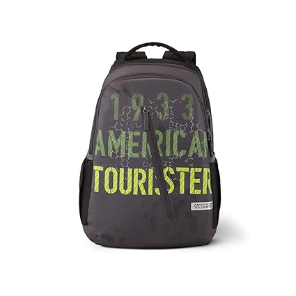 American Tourister Dune 29 Ltrs Grey Casual Backpack (Fi1 (0) 08 001)