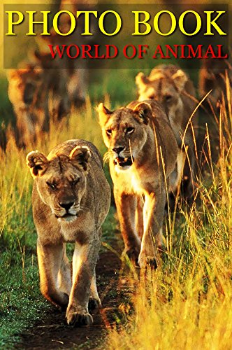 PHOTO BOOK WOLRD OF ANIMAL VOL.2: Photography, Photo Book