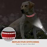 Taglory Reflective Nylon Dog Collar with Safety Buckle Red, Adjustable M view 5