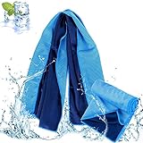 Sports Towel Cooling Towels with Mesh for Gym, Golf, Camping SMTMALL FBA (Blue,40
