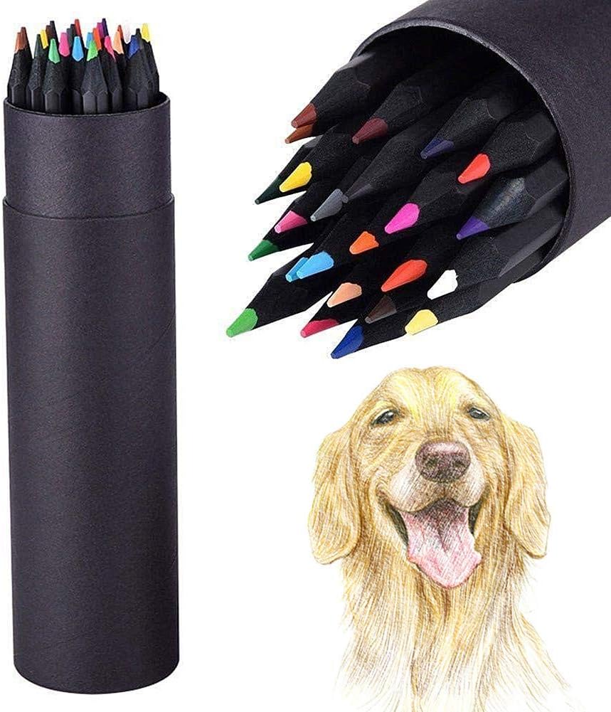 Colour Pencils Colouring Pencils Blackwood Pencils Color Core Pencil Set 24 Color Pencil Advanced Drawing Sketch Pencil 1 Box 24