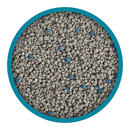 Purina-Tidy-Cats-Instant-Action-Clumping-Cat-Litter