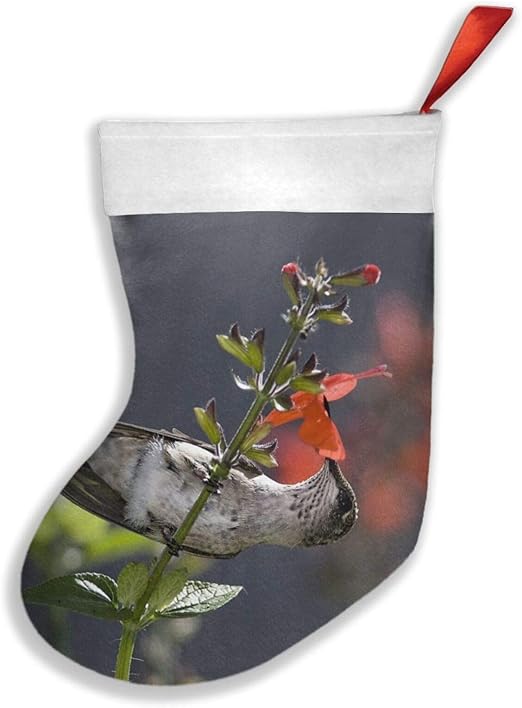 Calcetín de Navidad con diseño de colibrí, diseño de flores y néctaros