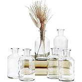 Farmlyn Creek Narrow Jar Vases - 2.8 in x 5 in, 7.5 oz, 6 Pack, Clear Glass - Apothecary-Style Jars & Glass Bottle Vases for Propagation & Mini Decorative Bottles