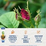Toprose Fungus Control and Protect ready to use 1L Phostrogen Roses view 5