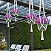 Sorbus Macrame Plant Hanger [4 Pack] Indoor Outdoor Hanging Plant Pots Cotton Rope, Elegant for Home, Patio, Garden