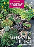 Image de les plantes en pot