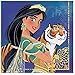 Princess Jasmine and Aladdin Birthday Party Supplies Pack With Banners, Plates, Napkins, Tablecover, Cutlery, Cups, Lantern Swirls and Pin
