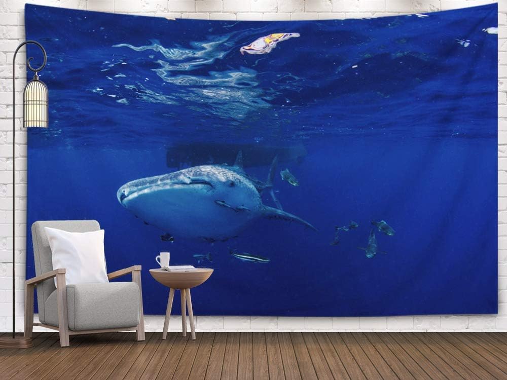 Bisead Wall Art Tapestry for Bedroom, Map Art Tapestry 80x60 inchs Whale Shark typus Wall Hanging Gifts for Bedroom Dorm Décor