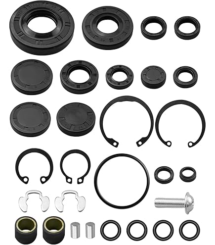 Amazon.com: 71410 72994 New Genuine OEM Hydro Gear Seal Kit