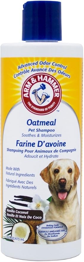 koi carp suppliers near me