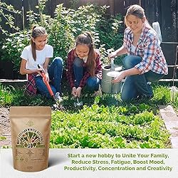 30 Most Popular Winter Vegetable Garden Seeds