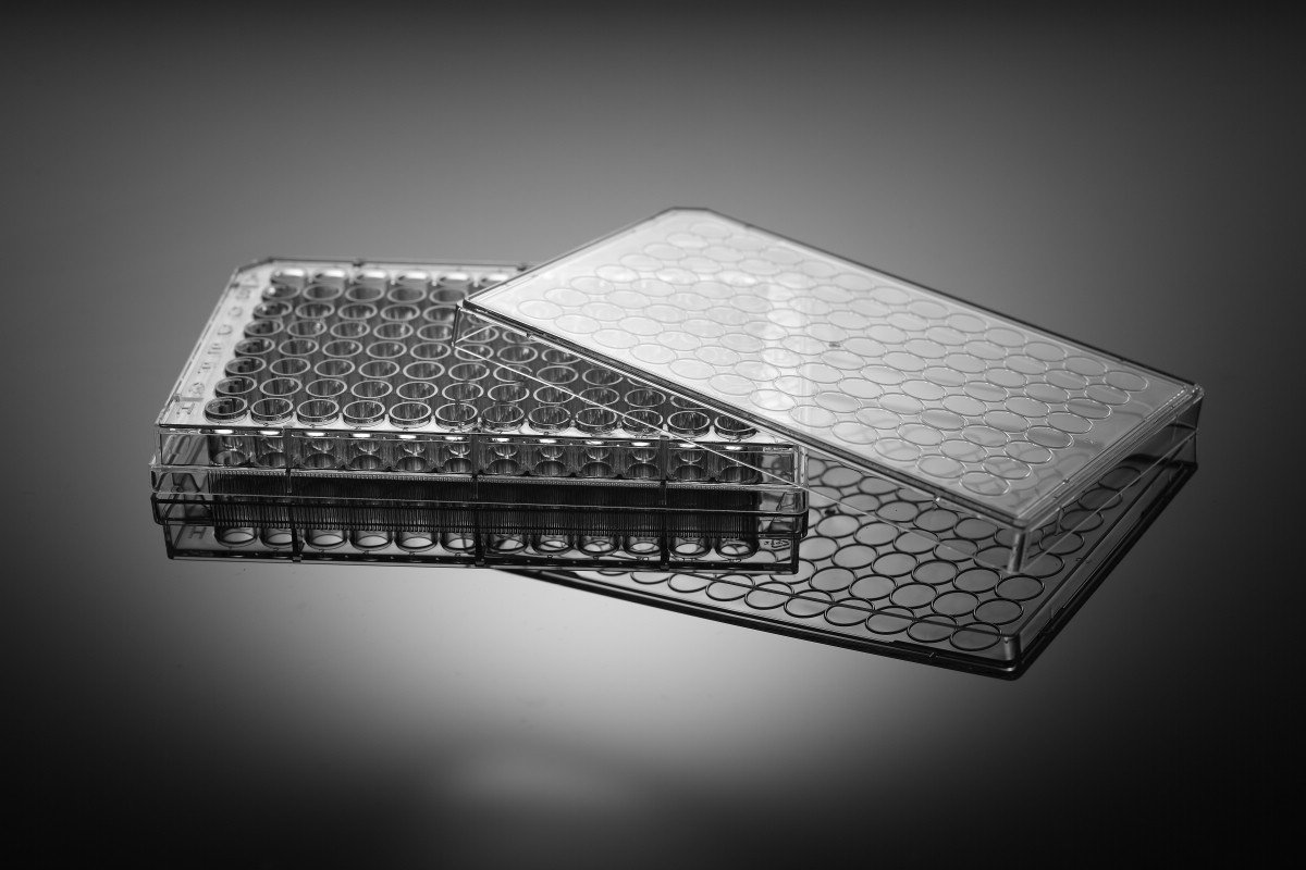 1 per Pack Nest Scientific 701001 Polystyrene 96 Well Cell Culture