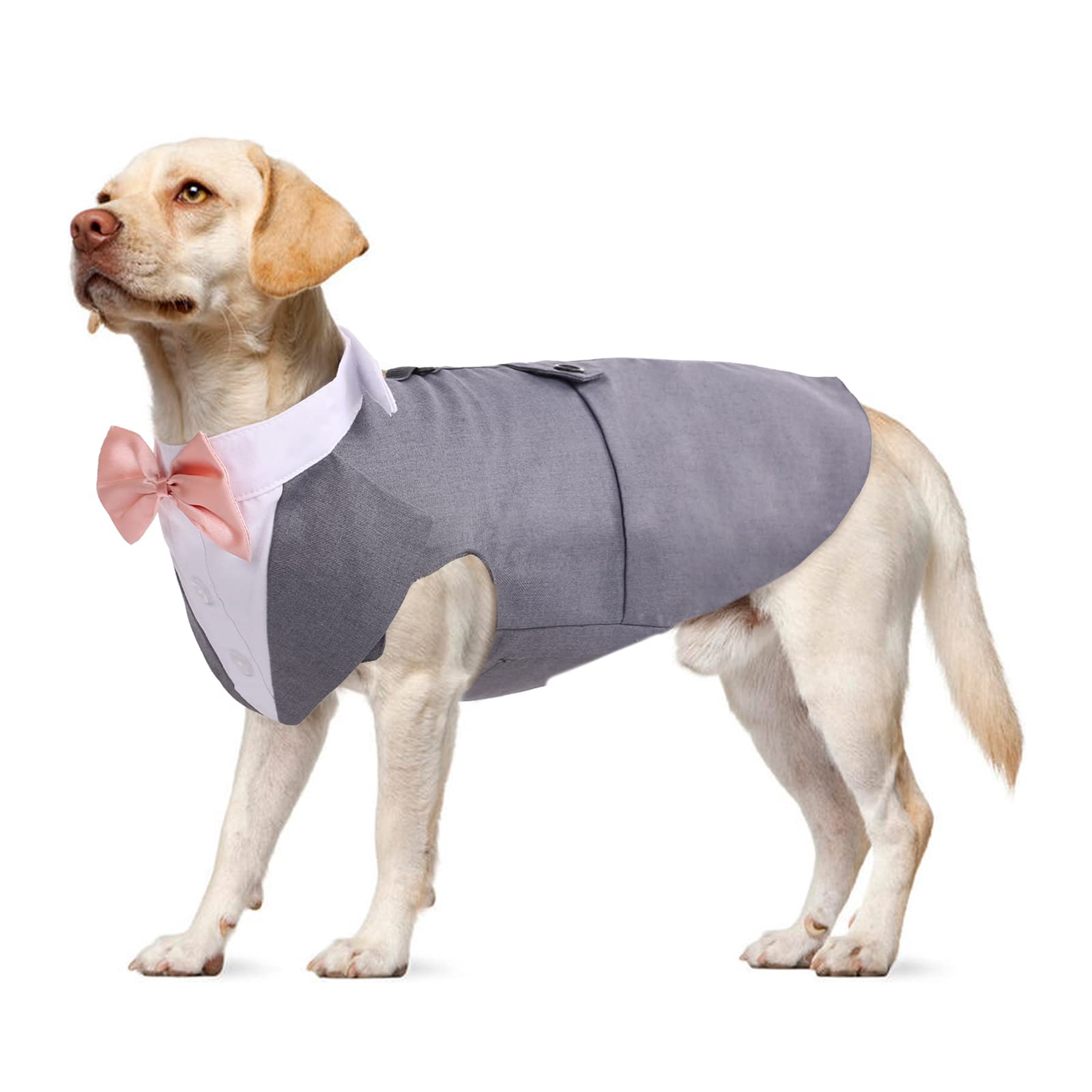 Cat & Dog Tuxedo Wedding Outfit - Tuxedo Bandana Shirt & Waistcoat for Dachshunds & Cats - Grey, S/M/L/XL