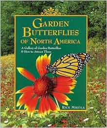 Garden Butterflies Of North America A Gallery Of Garden