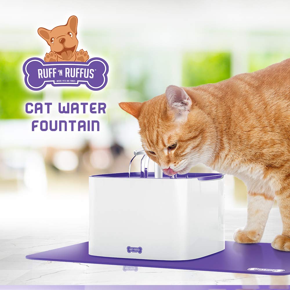 Best Cat Water Fountain [With Review 2020] Nolonger Wild