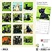 Scottish Terriers 2019 12 x 12 Inch Monthly Square Wall Calendar, Animals Dog Breeds