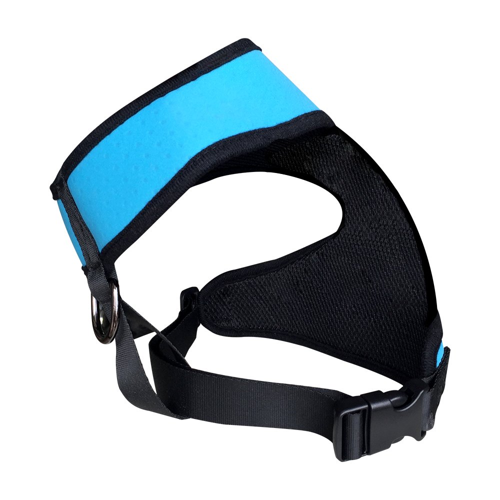 Roadwi Front Range Dog Harness Vest, Adjustable Soft Neoprene Breathable Padded, No-Pull Safety for Walking, Hiking, Training, Running. Neck: 40cm, Chest: 55-75cm (Large, Blue)