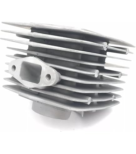 CDHPOWER LD100 Moteur De Remplacement Pour 2 Stroke Martinique