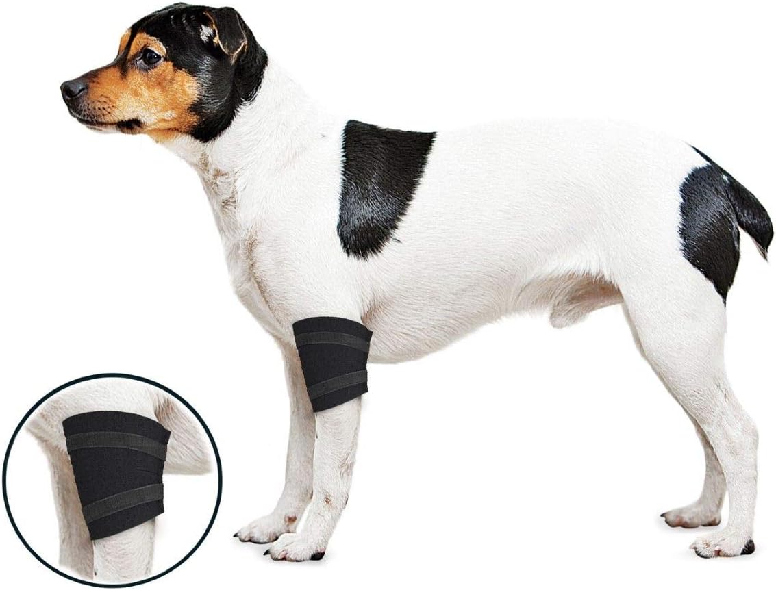ZenPet Elbow Wrap for Dogs (XSmall) Pet Supplies