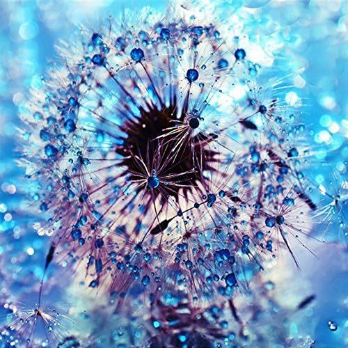 5D DIY Diamond Painting by Number Kit,Full Drill Embroidery Painting Cross Stitch Art Craft Home Decoration (Dandelion 3)