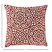 Amazon Brand – Stone & Beam Medallion Decorative Throw Pillow, 17
