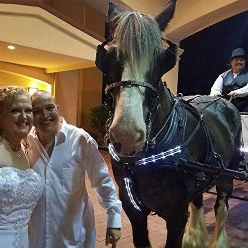 Highly Visible Illuminant LED Breast Collar for Horse Riding in the Dark - Adjustable, Sturdy & Comfortable Equestrian Protective Safety Gear - Thumbnail 5