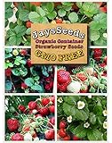 Organic Container Everbearing Strawberry 200 Seeds Upc 648620998026 Delicious High Yielding + 1 Plant Marker