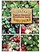 Organic Container Everbearing Strawberry 200 Seeds Upc 648620998026 Delicious High Yielding + 1 Plant Marker