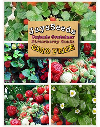 Organic Container Everbearing Strawberry 200 Seeds Upc 648620998026 Delicious High Yielding + 1 Plant Marker Organic Container Everbearing Strawberry 200 Seeds Upc 648620998026 Delicious High Yielding + 1 Plant Marker