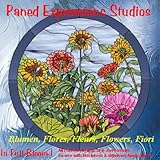 Stained Glass Pattern Collection - 