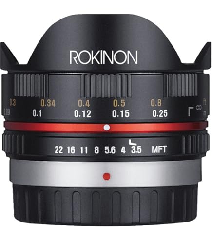 Amazon.com : PANASONIC LUMIX G FISHEYE Lens, 8MM, F3.5, MIRRORLESS