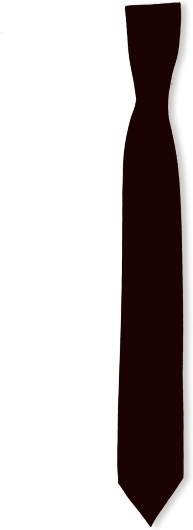 Boys Skinny/Slim Satin Ties