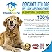 65 days supply, Hip & Joint Supplement, Glucosamine for Dogs, Joint Supplements for Dogs, contains Chondroitin and MSM