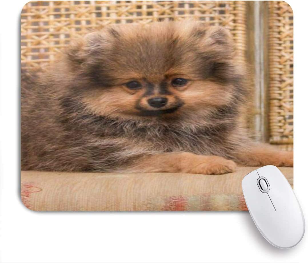 Amazon Co Jp Patinisaマウスパッド 美しい茶色のポメラニアン犬 ゲーミング オフィス最適 高級感 おしゃれ 防水 耐久性が良い 滑り止めゴム底 ゲーミングなど適用 マウス 用ノートブックコンピュータマウスマット Computers Peripherals
