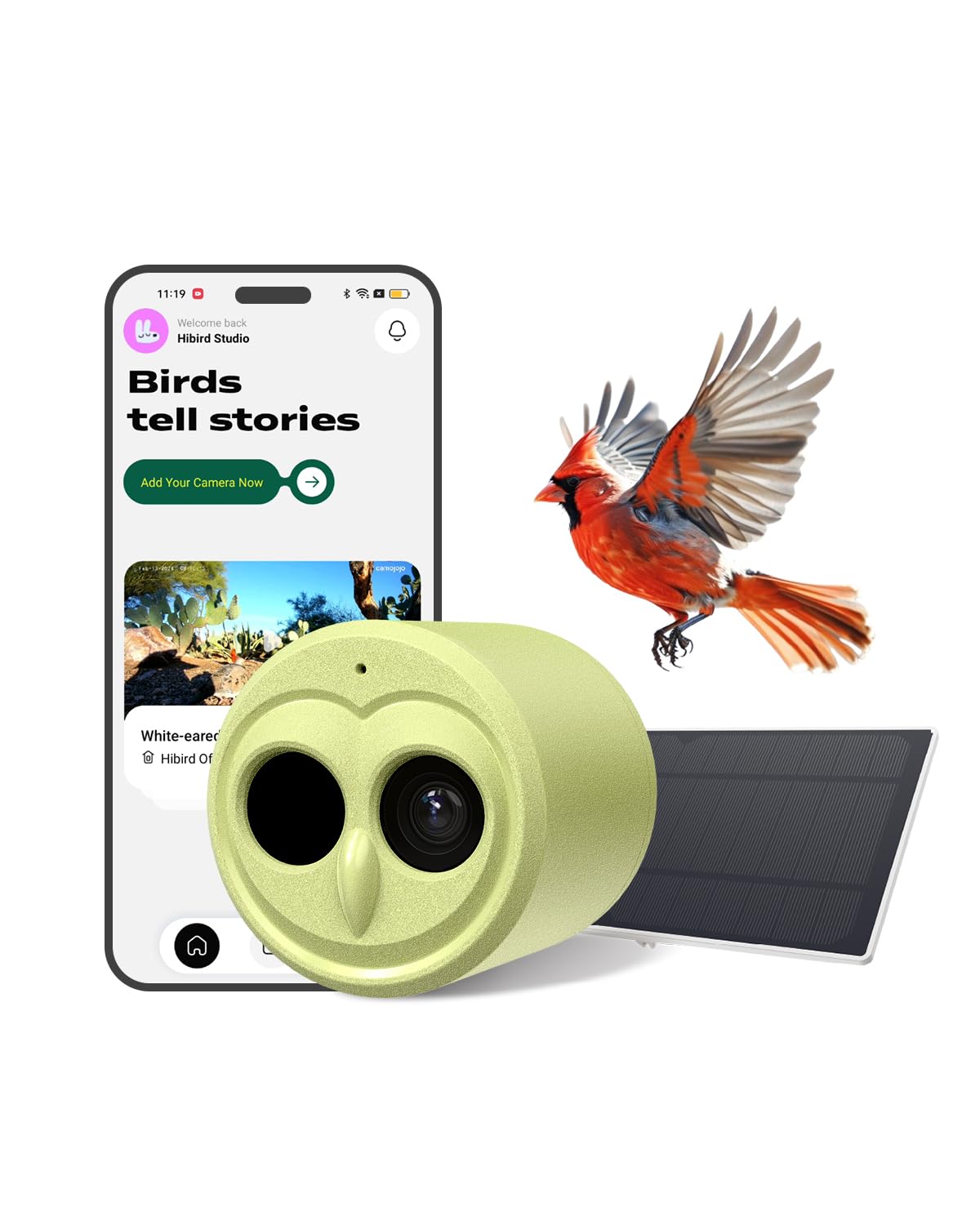 Photo 1 of Hibird 4K HD Smart Bird Feeder Camera Solar Powered, 2.4G/5G Dual WiFi Wireless Outdoor, 6X Slow Motion Auto Bird Video Capture, Instant Notifications, AI Identify 10000+ Species for Everyone
