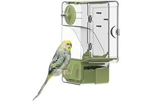 Automatic Bird Feeder, No Mess Bird Cage Feeder with Perch Multi-Functional Holder for Fruits Vegetables for Parakeet Canary 