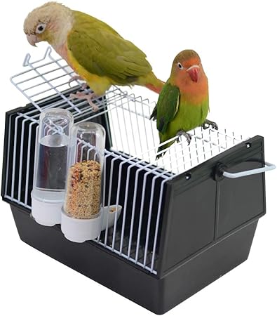 small bird travel cage
