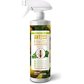 EcoVenger Ant Killer Insect Spray Plant-Based 16 OZ | Fast Kills House Ants Fire Ants, Residual Deterrence, Nest Treatment, Plant-Based Child and Pet Safe, Citrus Scent.