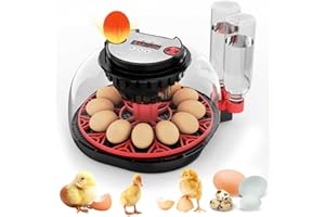 OMOBOLANLE 12 Egg Incubator with Automatic Egg Turning and Humidity Control, Intelligent Egg Incubator with Automatic Temp Egg Candler Air Vent, 360° Clear View, Hatching Chicken Duck Quail Bird