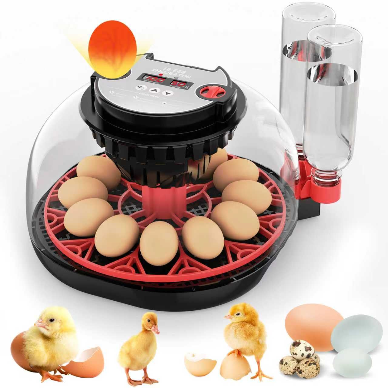 Photo 1 of 12 Egg Incubator with Automatic Egg Turning and Humidity Control, Intelligent Egg Incubator with Automatic Temp Egg Candler Air Vent, 360° Clear View, Hatching Chicken Duck Quail Bird