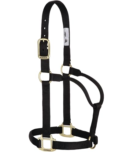 Licol En Cuir Pour Cheval Avec Laisse - Couronne En Cuir, Mentonnière Réglable, Muserolle Rembourrée