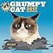 Grumpy Cat 2017 Wall Calendar