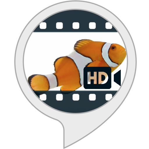 Click Here to See More Images Ambient Visuals: Fishbowl