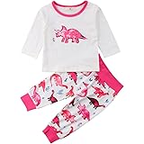 Infant Baby Girl Cute Pink Dinosaur Pajamas 2 Piece Set