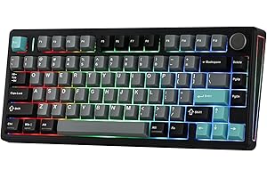 EPOMAKER TH80 V2 75% Wireless Mechanical Gaming Keyboard, 8000mAh & 2.4G/BT, Mac Modifier, RGB Backlit & Side Light, Programm