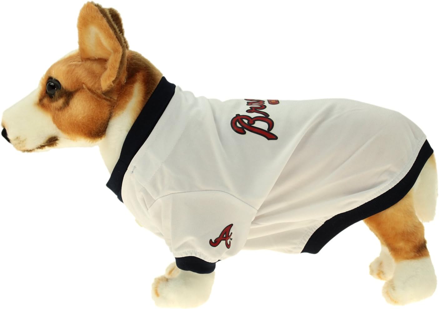 diy enzymatic cleaner for dog urine