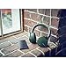 Sony XB950N1 Noise-Cancelling Extra Bass Wireless Headphones, Green (2017 model)