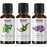 3-Pack Variety of NOW Essential Oils: Pure & Natural Blend - Lavender, Eucalyptus, Peppermint